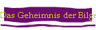 Das Geheimnis der Bilge
